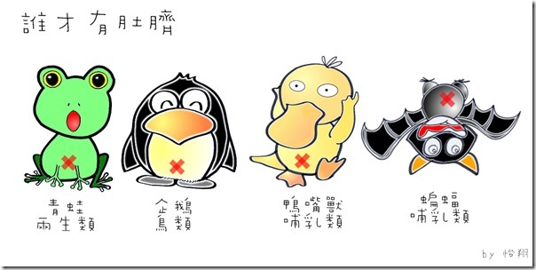 照片12