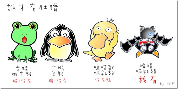 照片11