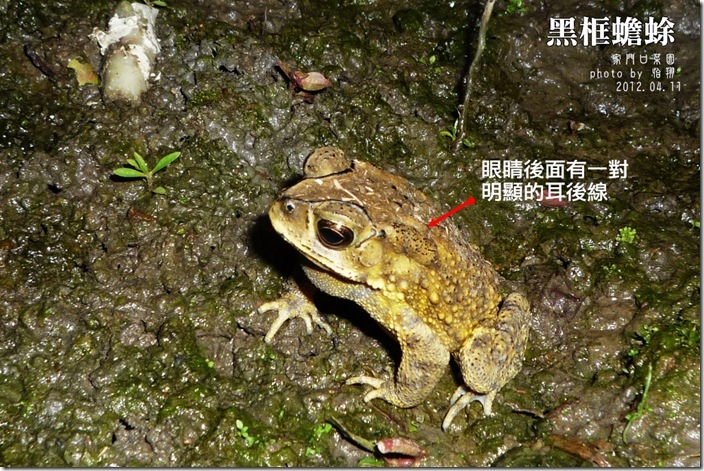 黑框1