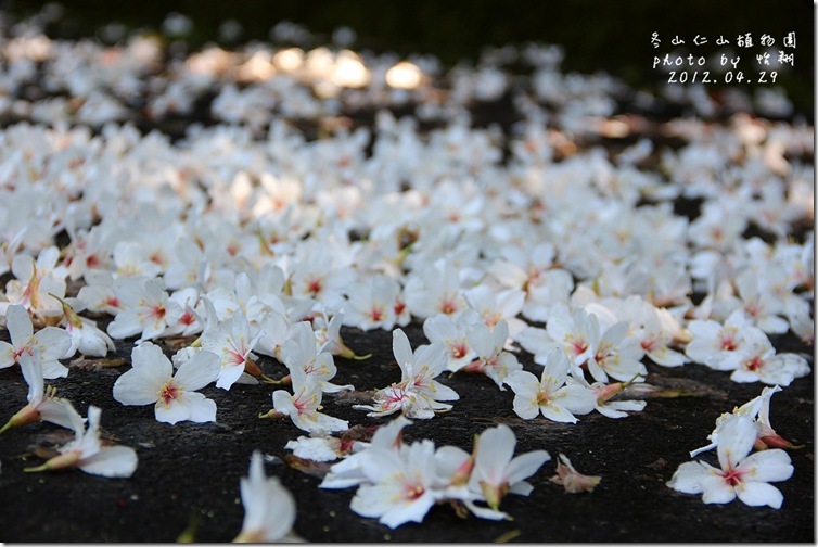 blog9