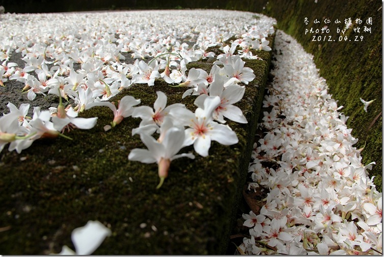 blog10