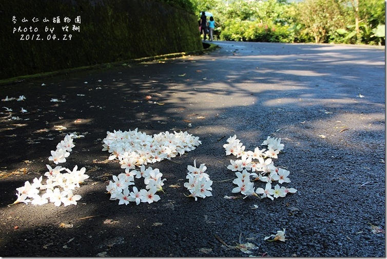 blog5