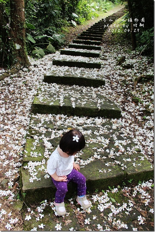 blog12