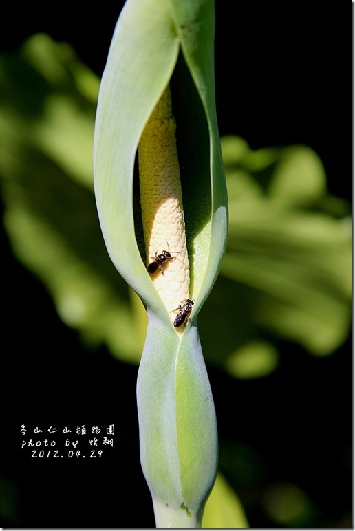 blog14