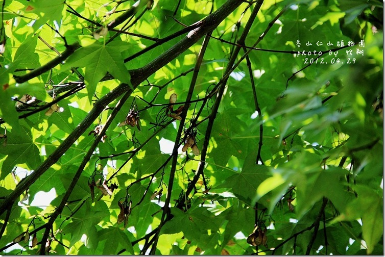 blog15