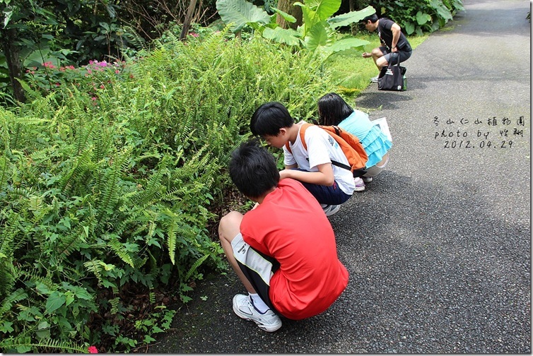 blog25