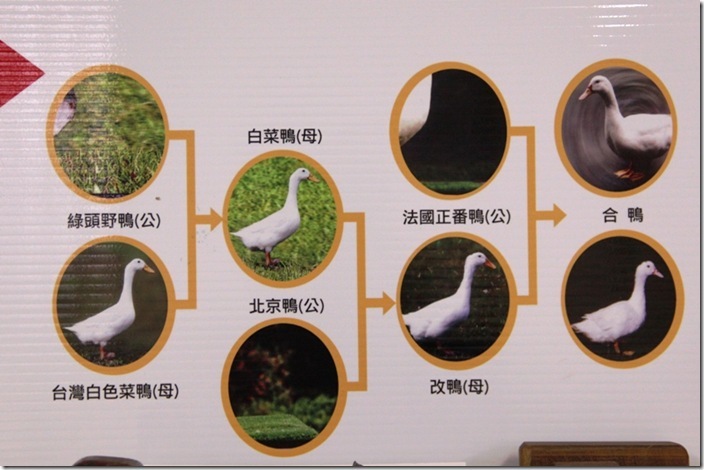 血統