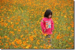 IMG_3161 IMG_3161