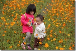 IMG_3174 IMG_3174