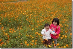 IMG_3154 IMG_3154