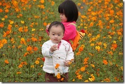 IMG_3172 IMG_3172