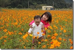 IMG_3150 IMG_3150