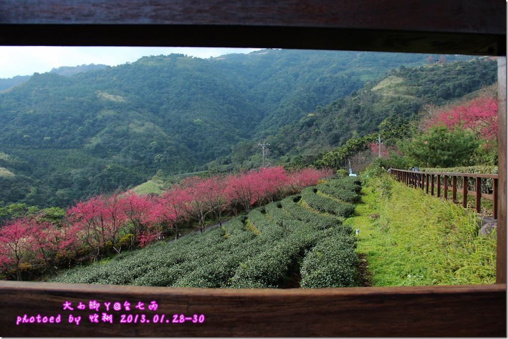 39 39
