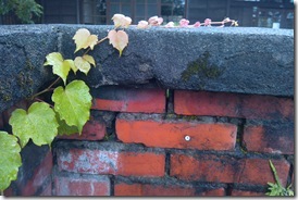 IMG_20131012_080109