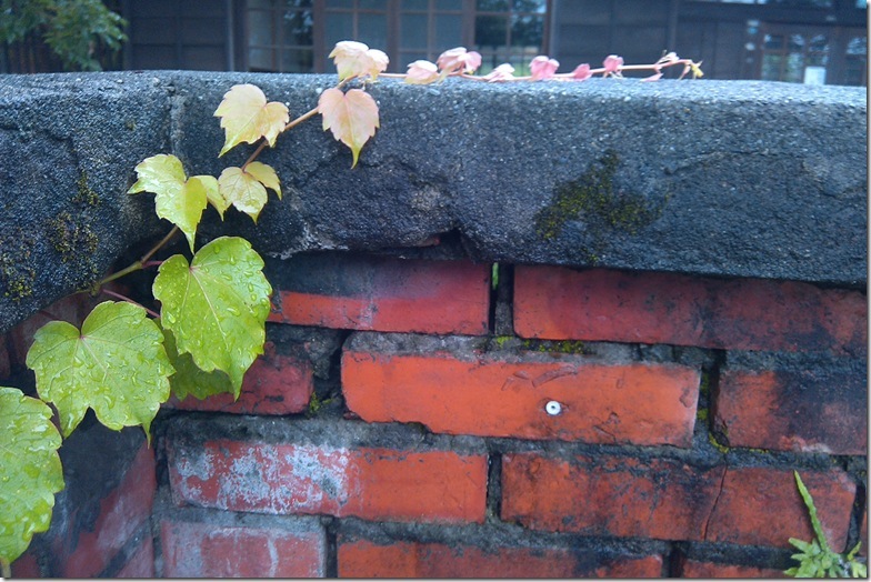 IMG_20131012_080109