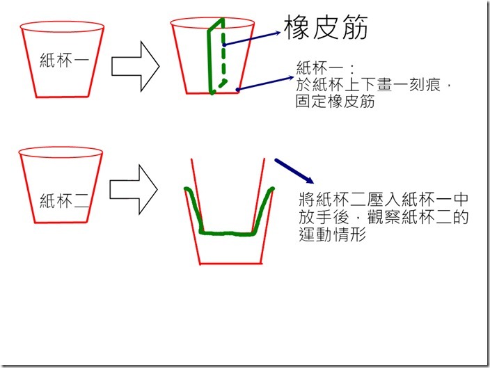 彈力杯 彈力杯