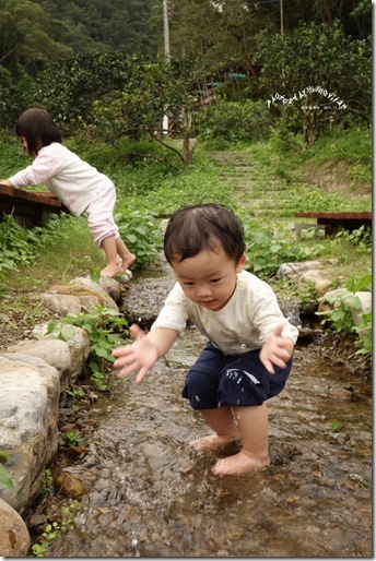 龍潭湖19 龍潭湖19
