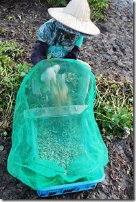 IMG_9508 IMG_9508