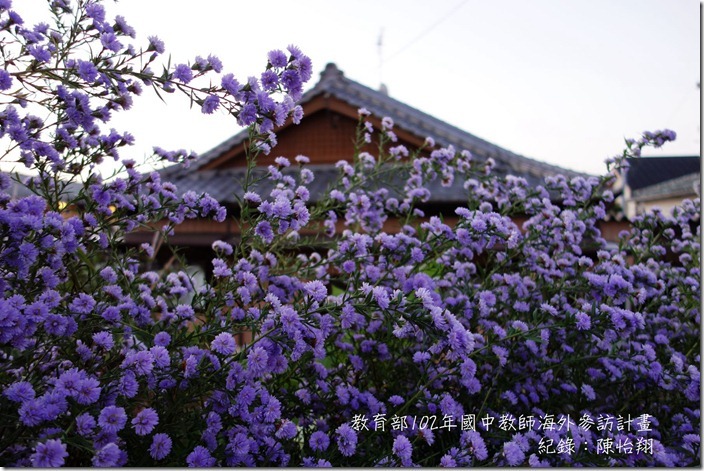 DSC08684_副本