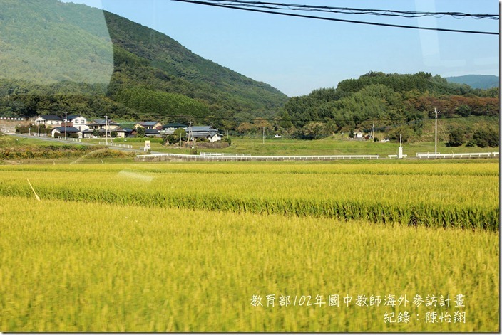 IMG_8840_副本