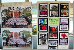 IMG_8882_副本 IMG_8882_副本
