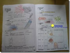 clip_image002