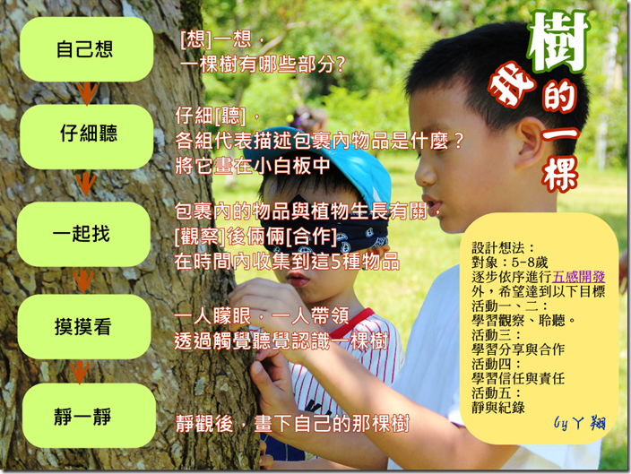 我的一棵樹4