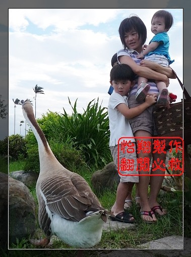 恐怖的鵝2.jpg
