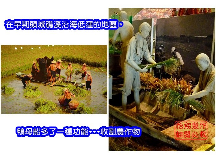 鴨母船.jpg