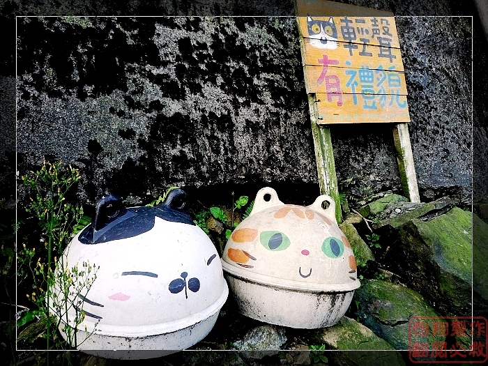 657.jpg