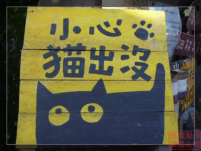 645.jpg