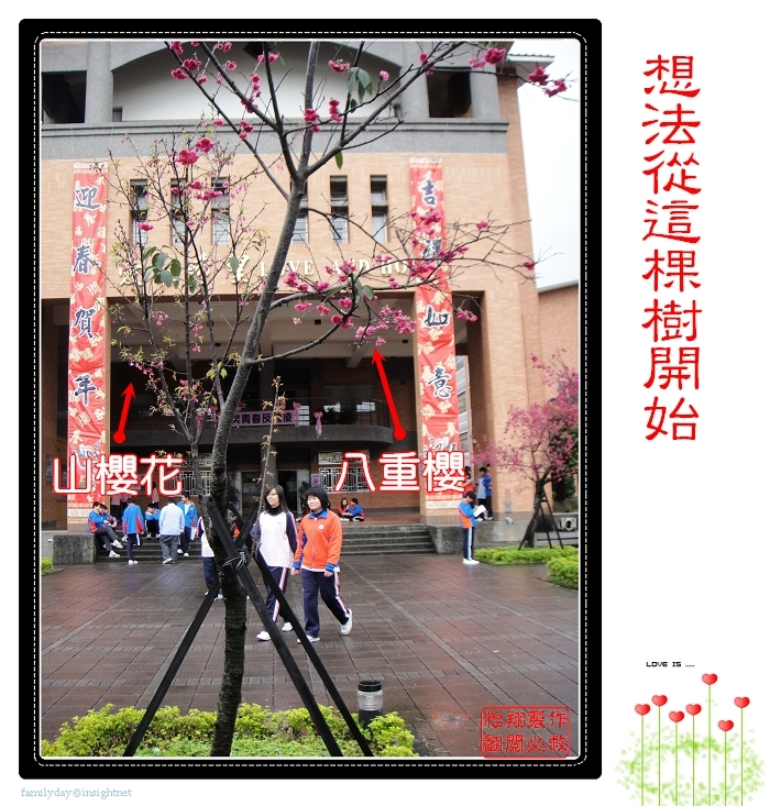 想法從這棵樹開始.jpg