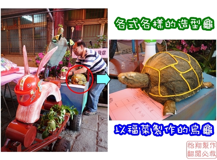 南門組龜兔和諧1.jpg