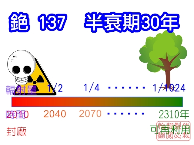 半衰期.jpg