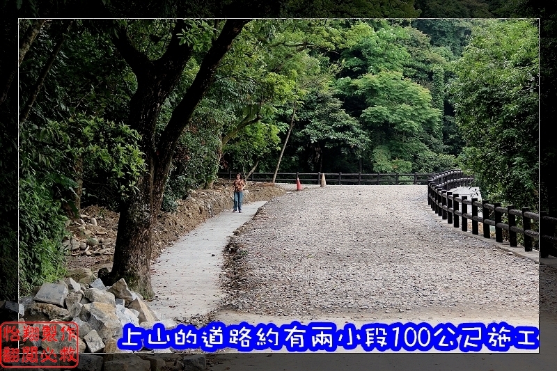 桐花11.jpg