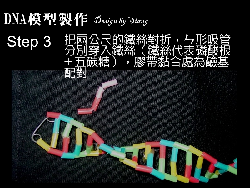 dna3.jpg