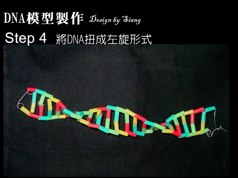 dna4.jpg