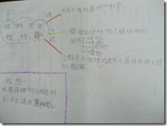 L.5秉豐