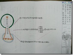 L.5沁雯