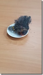 1051019_01 1051019_01