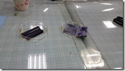 1051019_03 1051019_03