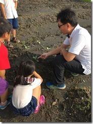 凱旋活力 友善 菜園_1119