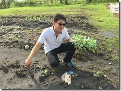 凱旋活力 友善 菜園_4683