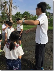 凱旋活力 友善 菜園_7426