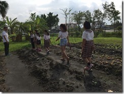 凱旋活力 友善 菜園_8242