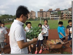 凱旋活力 友善 菜園_8252