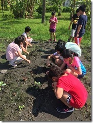凱旋活力 友善 菜園_8895
