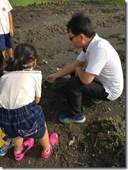 凱旋活力 友善 菜園_9526