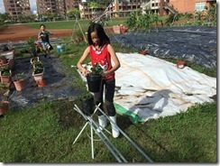 IMG_1913