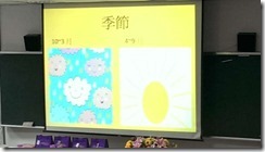 IMAG1295-800